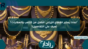 “لماذا يعتبر القطاع الزراعي أفضل من الذهب والعقارات؟ تعرف على التفاصيل!”